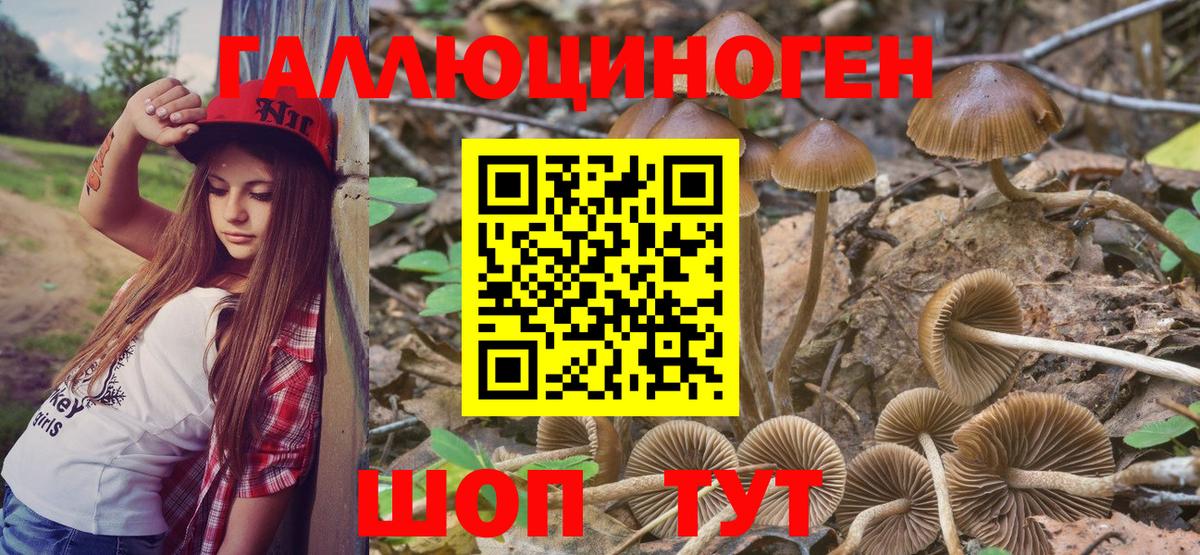 Галлюциногенные грибы прущие грибы  закладки  Вход с VPN  Видное  Псилоцибиновые грибы Psilocybine cubensis 